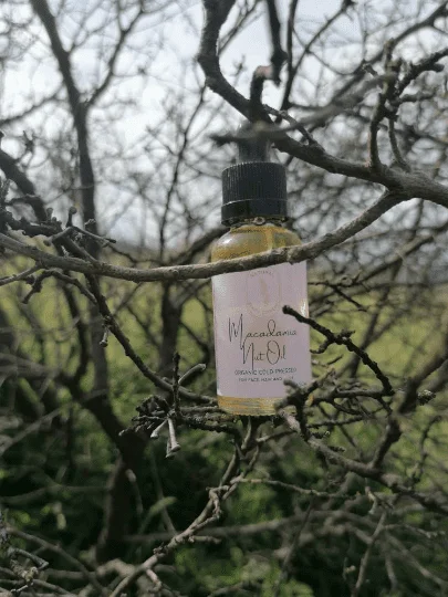 Macadamia Nut Oil - Image 2